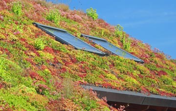 Colehill living roof systems