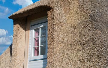 Colehill thatch roof disadvantages