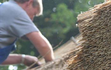 professional Colehill thatchers