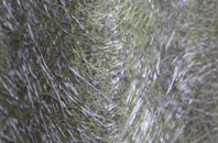 Colehill fibreglass roof work